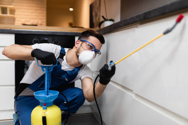 Best Cockroach Control Services  in Taylor Creek, OH