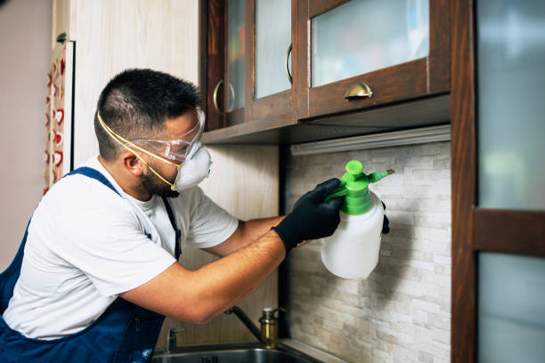Best Exterminator Services  in Taylor Creek, OH