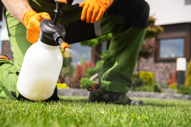 Best Best Pest Control Companies  in Taylor Creek, OH