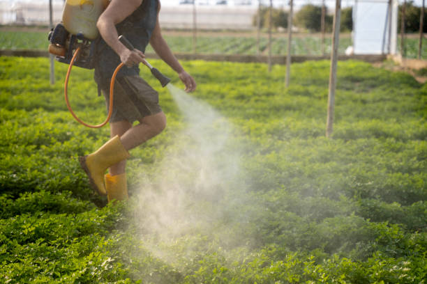 Professional Pest Control in Taylor Creek, OH