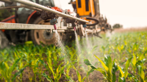 Best Pest Removal Services  in Taylor Creek, OH